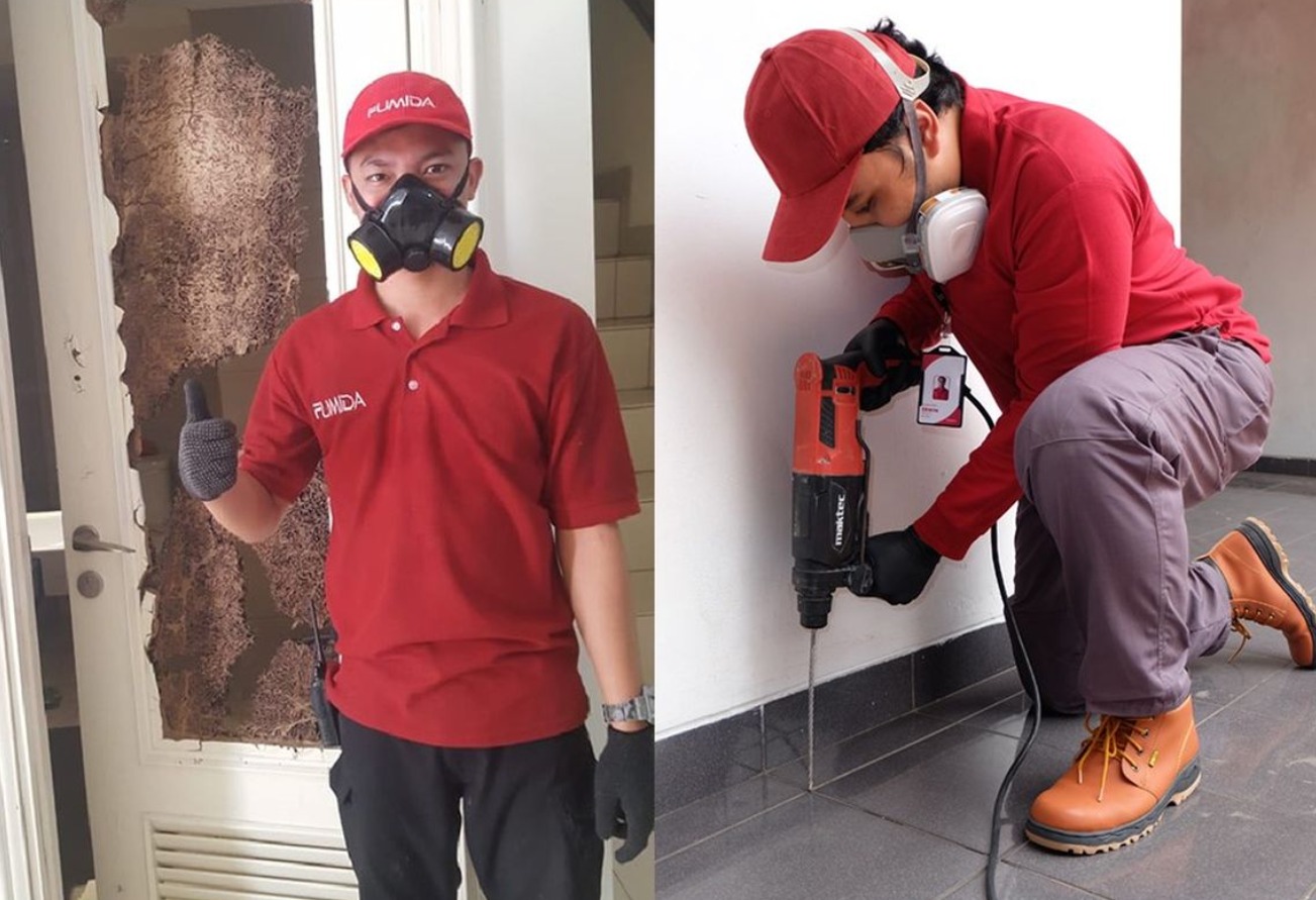 Penggunaan Jenis Obat Anti Rayap
